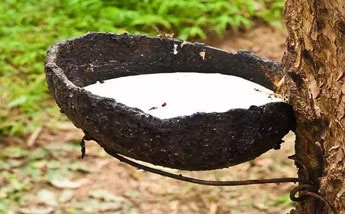 天然乳膠用消泡劑使用案例